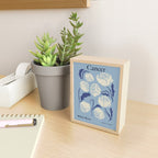 Cancer white rose  Mini Art Print Gallery Image 2