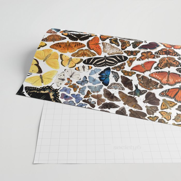 Butterflies of North America Pattern Wrapping Paper Gallery Image 2