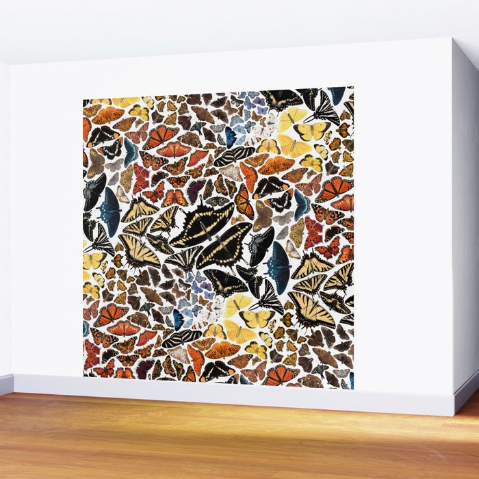 Butterflies of North America Pattern Wall Mural Gallery Image 2