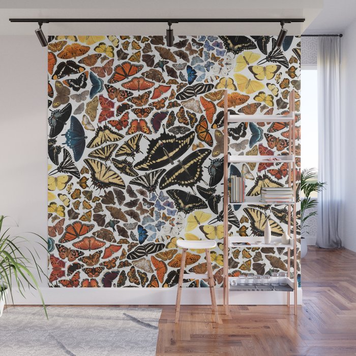 Butterflies of North America Pattern Wall Mural Gallery Image 1