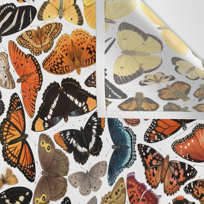 Butterflies of North America Pattern Wall Tapestry Gallery Image 3