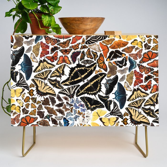 Butterflies of North America Pattern Credenza Gallery Image 1