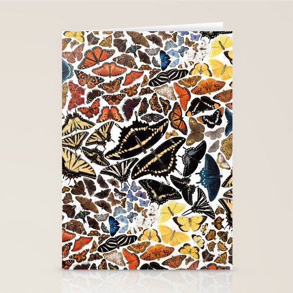 Butterflies of North America Pattern Stationery Card Gallery Image 2