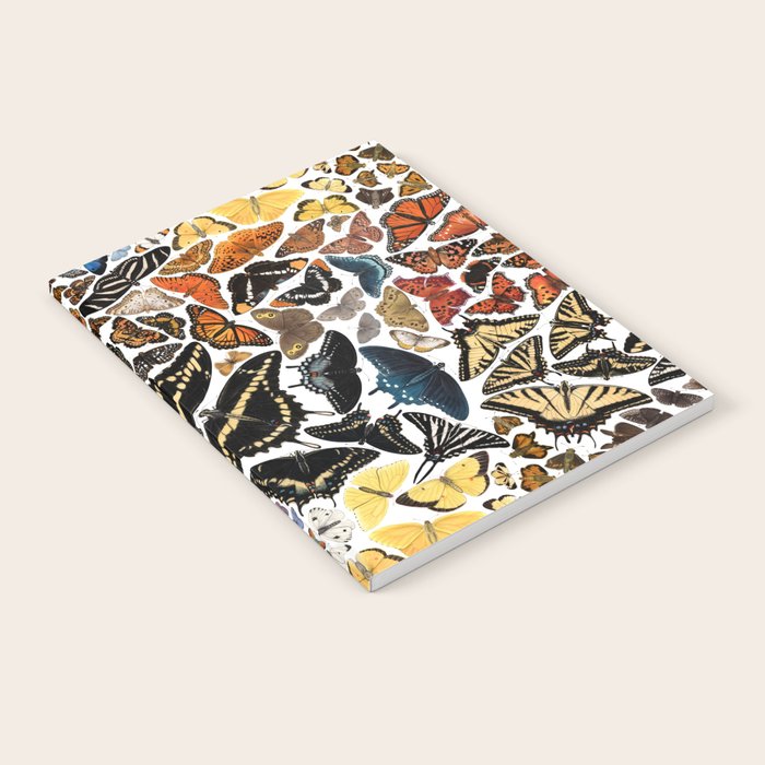 Butterflies of North America Pattern Notebook Gallery Image 2