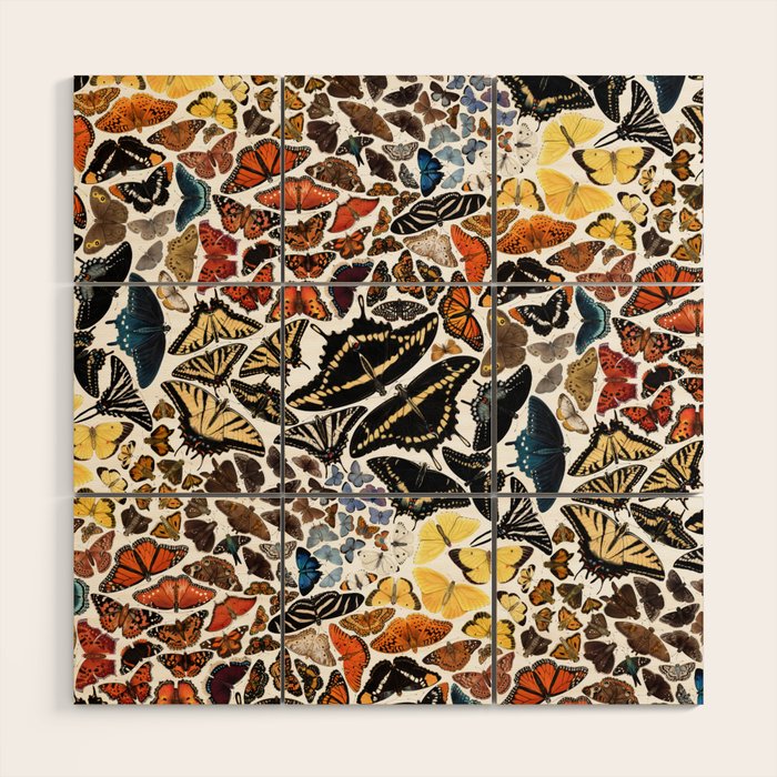 Butterflies of North America Pattern Wood Wall Art Gallery Image 1