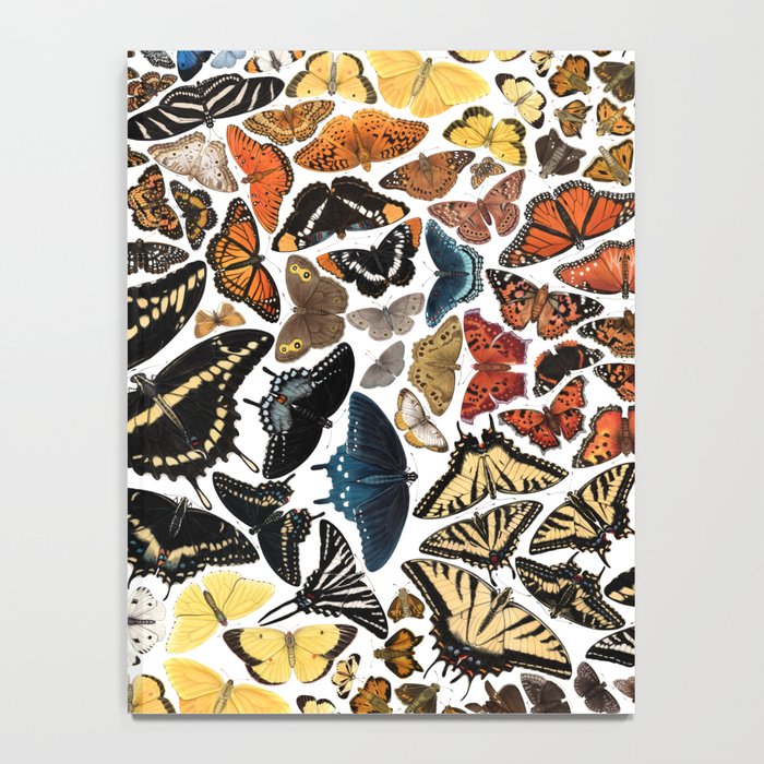 Butterflies of North America Pattern Notebook Gallery Image 4