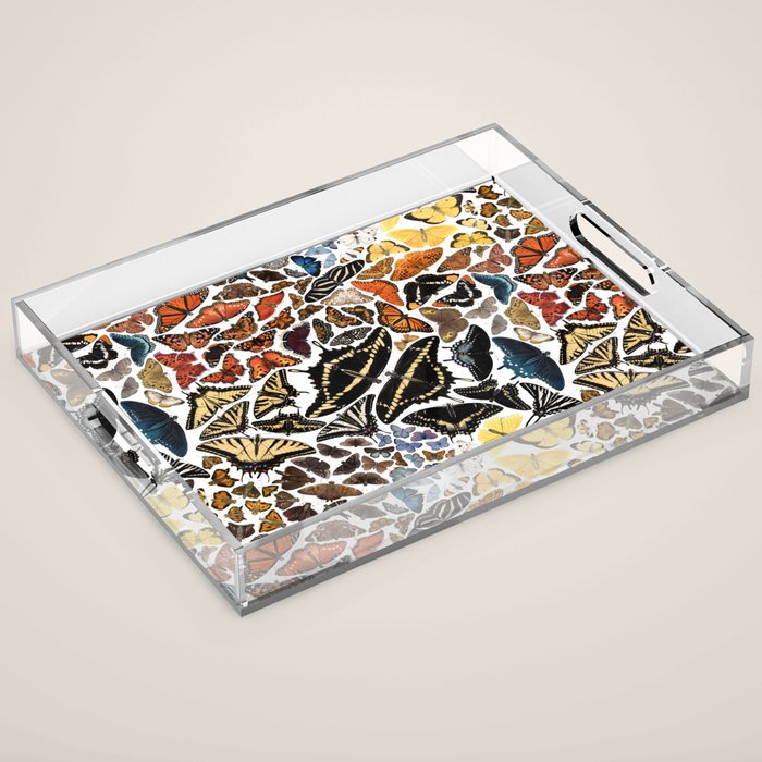 Butterflies of North America Pattern Acrylic Tray Gallery Image 1