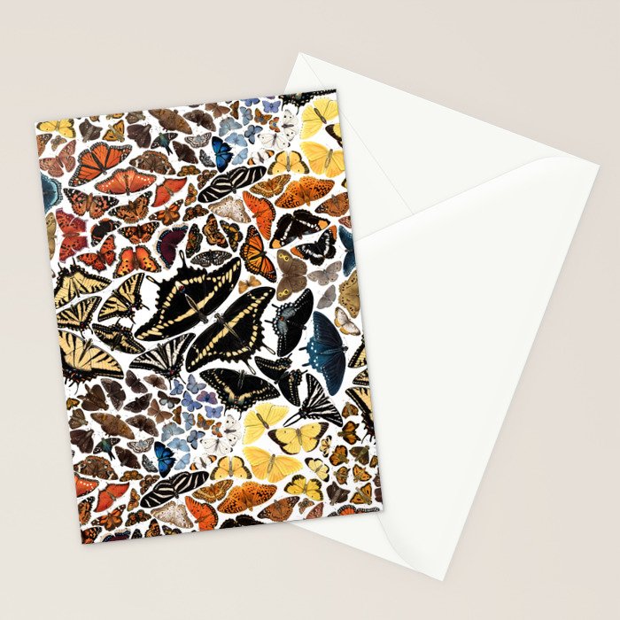 Butterflies of North America Pattern Stationery Card Gallery Image 2