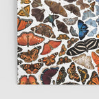 Butterflies of North America Pattern Poster Gallery Image 3