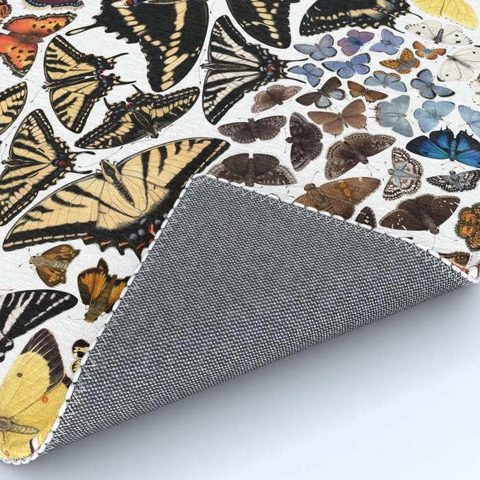Butterflies of North America Pattern Rug Gallery Image 4