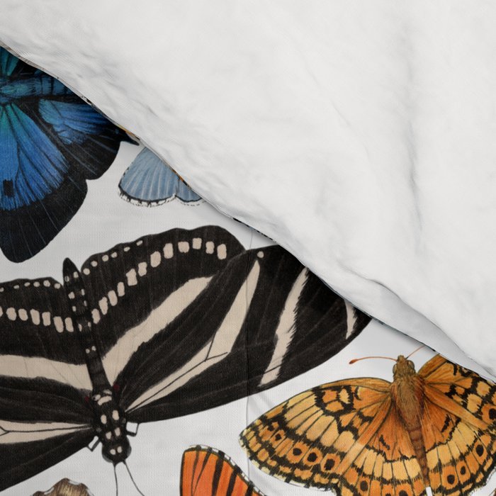 Butterflies of North America Pattern Comforter Gallery Image 4