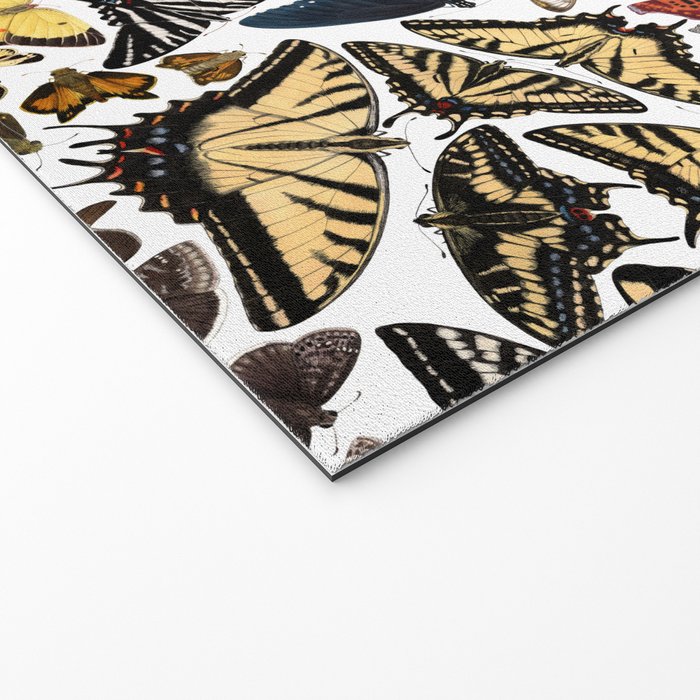 Butterflies of North America Pattern Welcome Mat Gallery Image 2