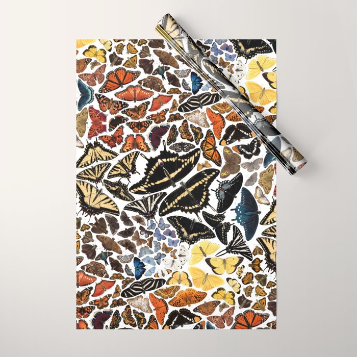 Butterflies of North America Pattern Wrapping Paper Gallery Image 1