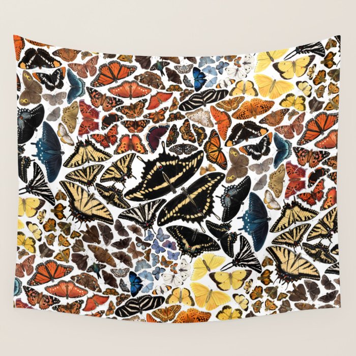 Butterflies of North America Pattern Wall Tapestry Gallery Image 4