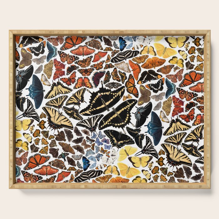 Butterflies of North America Pattern Serving Tray Gallery Image 1