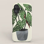 begonia maculata interior plant iPhone Case Gallery Image 1