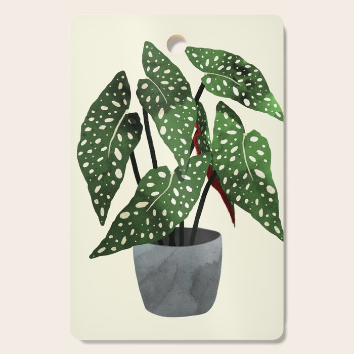 begonia maculata interior plant Cutting Board Gallery Image 1