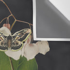 Minimal Collage/ Hand, Plants and Butterflies 6 Wall Tapestry Gallery Image 3
