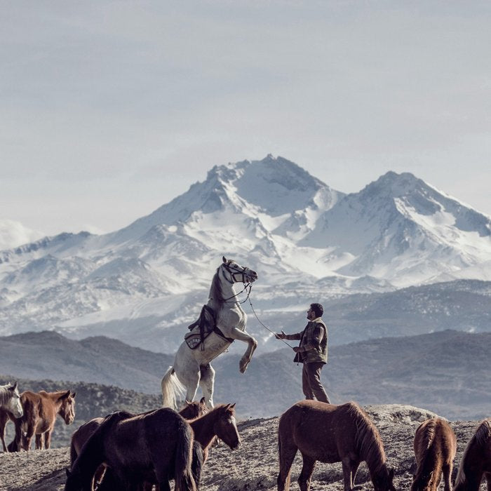 Wild Horses Coffee Mug Gallery Image 2