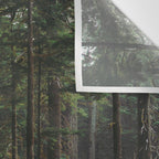 A Walk in the Woods Wall Tapestry Gallery Image 3