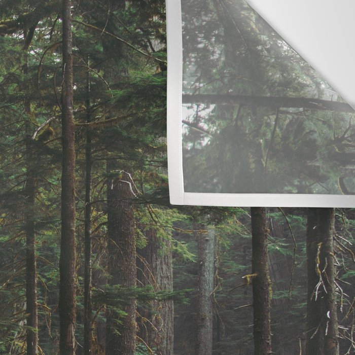 A Walk in the Woods Wall Tapestry Gallery Image 3