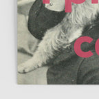 I Prefer Cats Poster Gallery Image 3