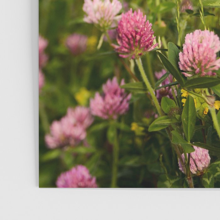 Clover by the Sea  Boho Botanical Flower Photo Poster Gallery Image 3
