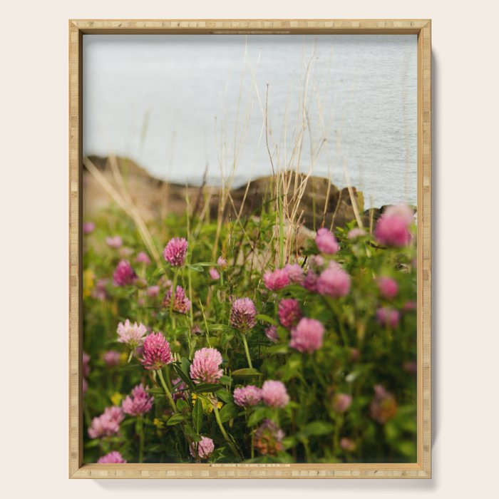 Clover by the Sea  Boho Botanical Flower Photo Serving Tray Gallery Image 1