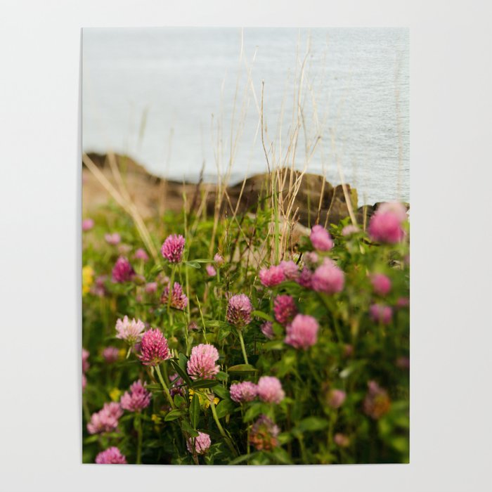 Clover by the Sea  Boho Botanical Flower Photo Poster Gallery Image 4