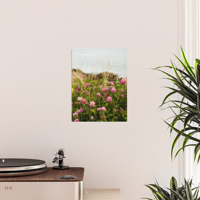 Clover by the Sea  Boho Botanical Flower Photo Poster Gallery Image 2