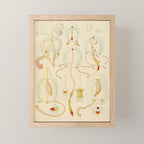 Jellyfish by Ernst Haeckel from his monograph of deep-sea medusae (1879) Mini Art Print Gallery Image 1