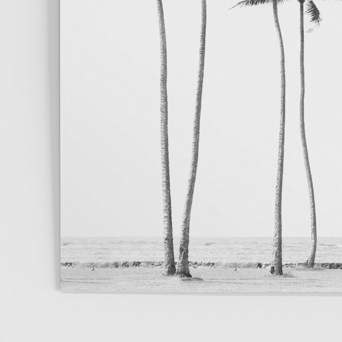 Hawaii Palm Trees - Black and White Photography Poster Gallery Image 3