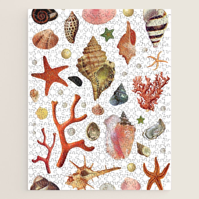 Shell collection Jigsaw Puzzle