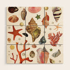 Shell collection Wood Wall Art Gallery Image 1