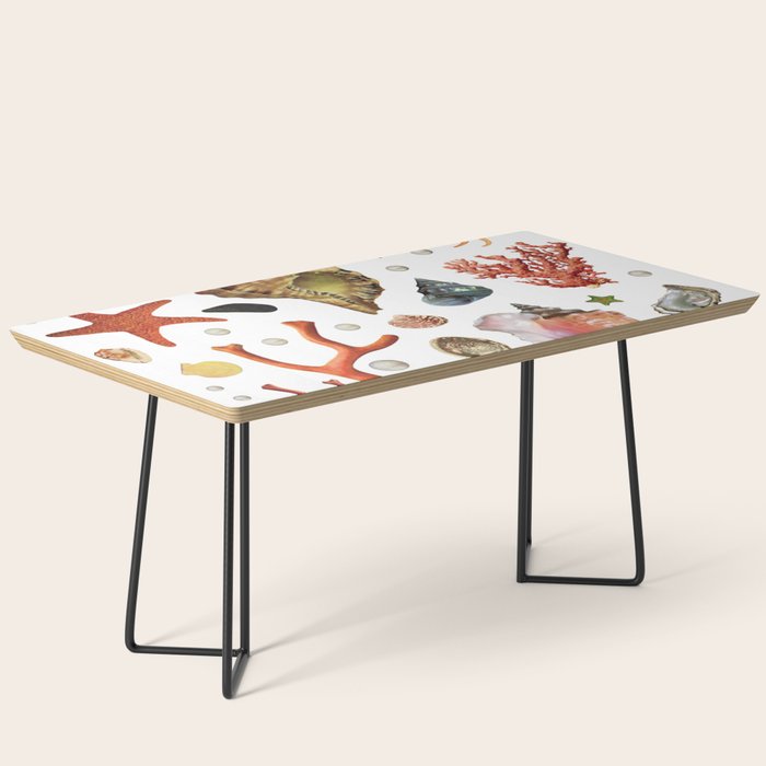 Shell collection Coffee Table Gallery Image 1