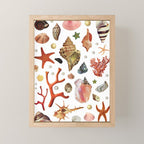 Shell collection Mini Art Print Gallery Image 1