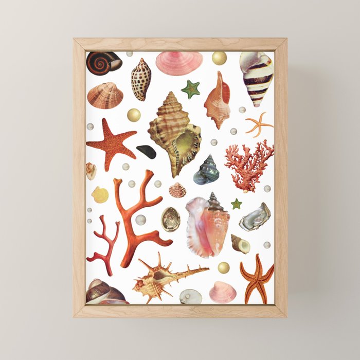 Shell collection Mini Art Print Gallery Image 1