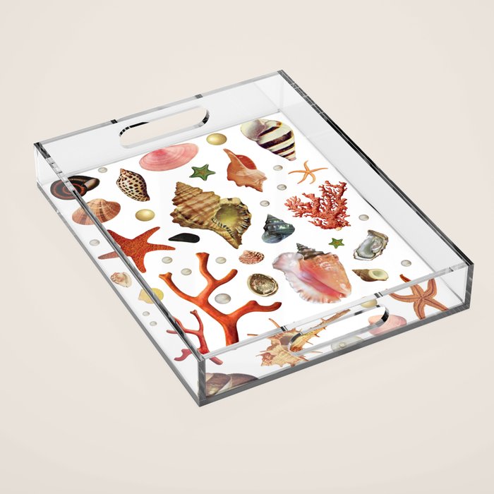 Shell collection Acrylic Tray Gallery Image 1