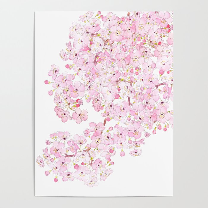 cherry blossom ink and watercolor 1 Poster Gallery Image 1