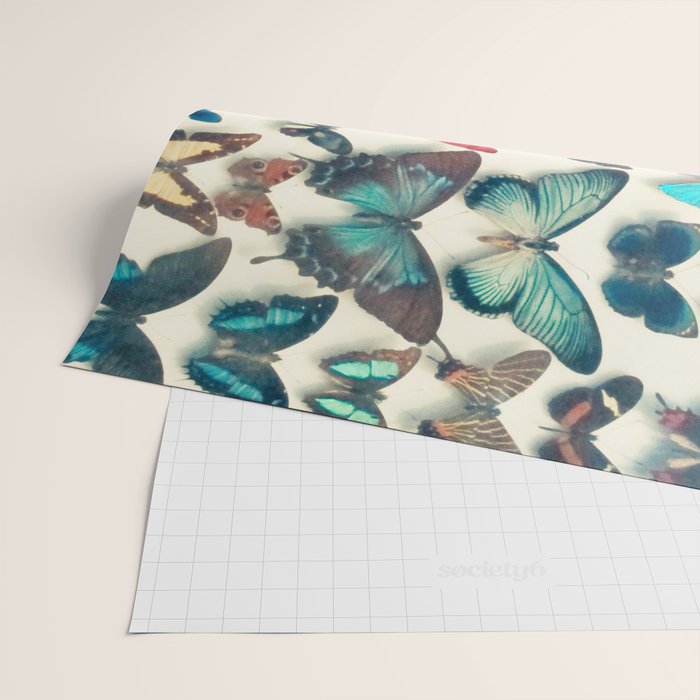 Wings Wrapping Paper Gallery Image 2