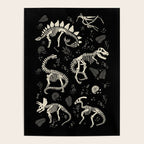 Excavated Dinosaur Fossils Poster Gallery Image 4