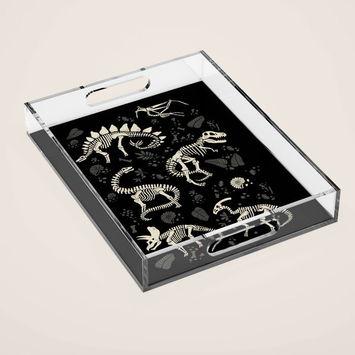 Excavated Dinosaur Fossils Acrylic Tray Gallery Image 1