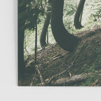 To The Falls Poster Gallery Image 3