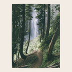 To The Falls Poster Gallery Image 4