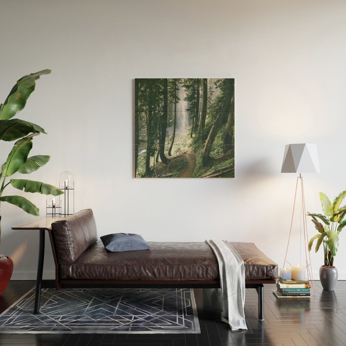 To The Falls Wood Wall Art Gallery Image 2