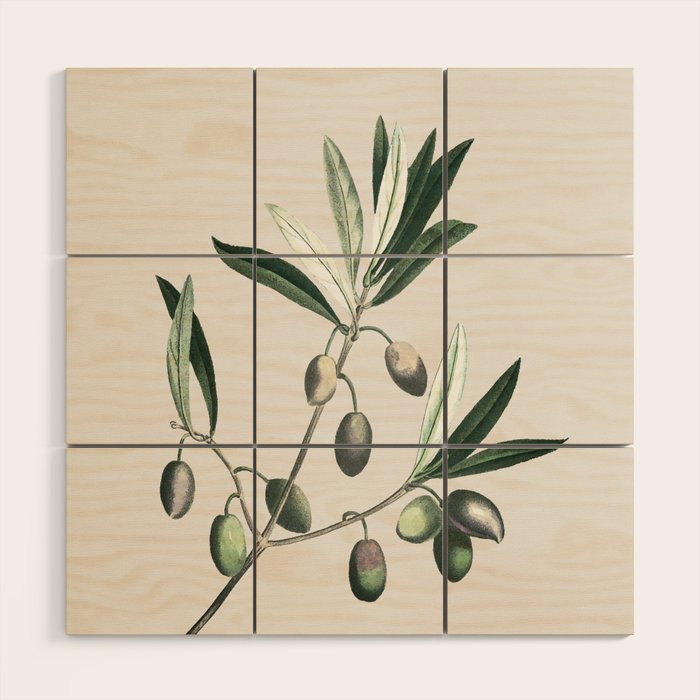 Olive Tree Branch Wood Wall Art Gallery Image 1