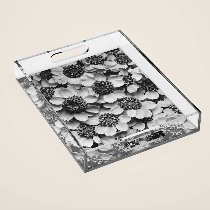 Yarrow flower blossoms vintage black and white photograph by Karl Blossfeldt   Acrylic Tray Gallery Image 1