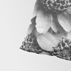Yarrow flower blossoms vintage black and white photograph by Karl Blossfeldt   Pillow Sham Gallery Image 4