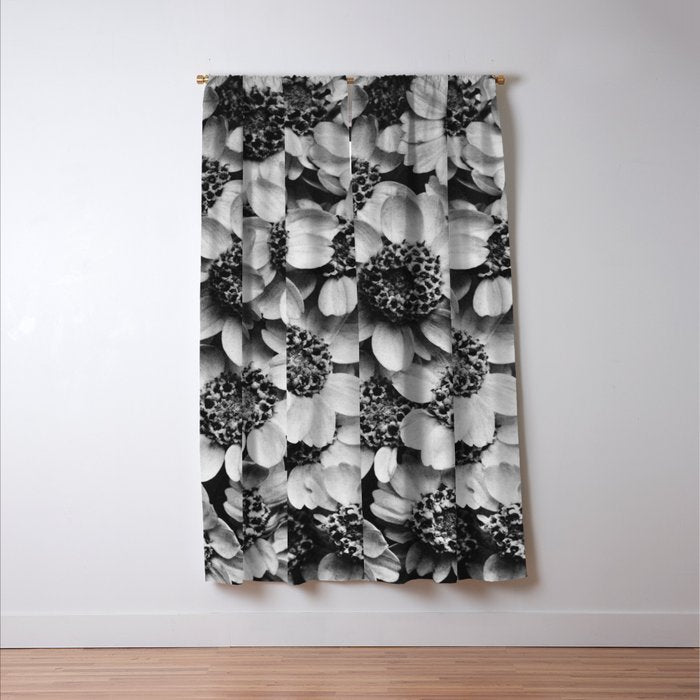 Yarrow flower blossoms vintage black and white photograph by Karl Blossfeldt   Window Curtain Gallery Image 3