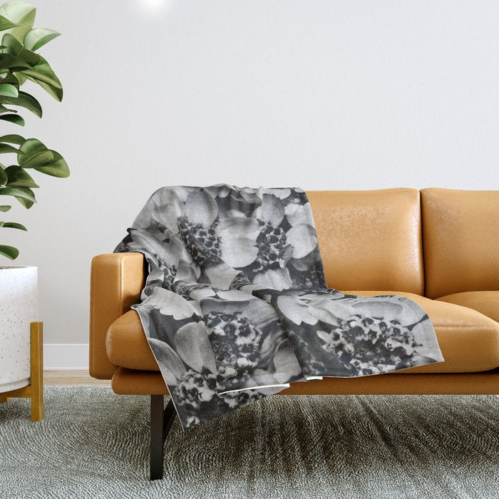 Yarrow flower blossoms vintage black and white photograph by Karl Blossfeldt   Throw Blanket Gallery Image 1